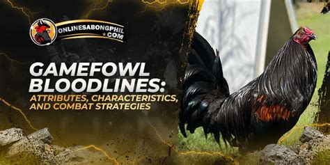 gamefowl bloodlines in the philippines|Gamefowl Bloodlines: Attributes, Characteristics, and Combat .
